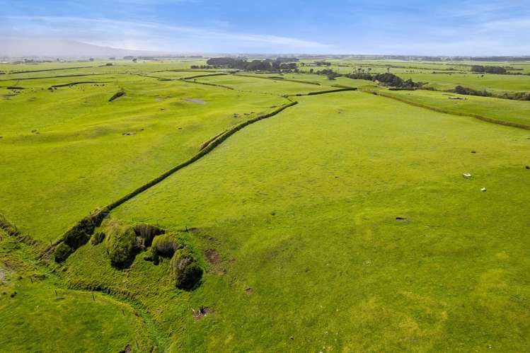 3789 South Road Opunake_15