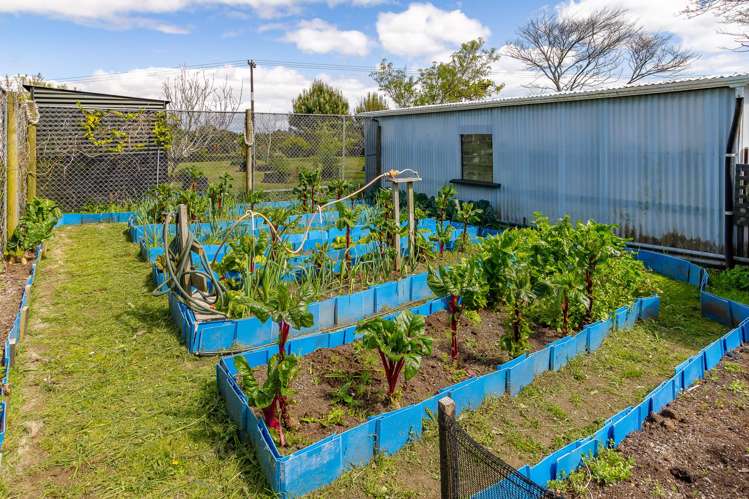 347 Henwood Road Hillsborough_17