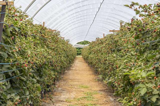 Thurley Place Bay View_3