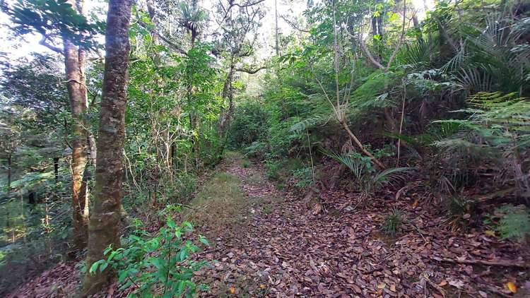 352 Puhipuhi Road Whakapara_41