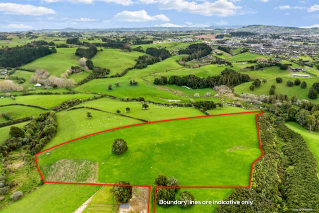 55 Gordon Francis Drive Pukekohe East_3