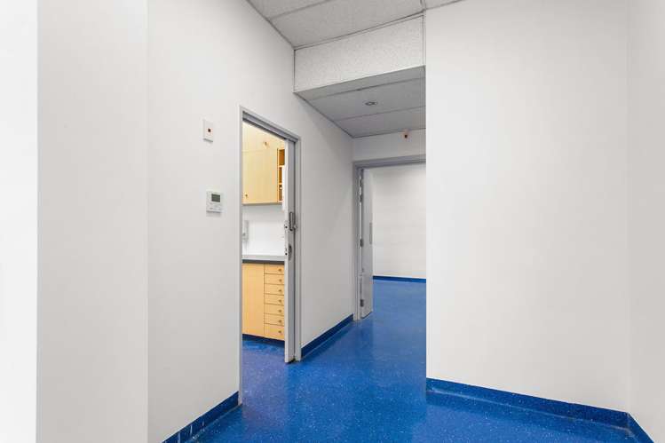 3 Pilgrim Place Sydenham_4