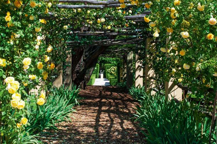 112 Odwyers Road Rapaura_21