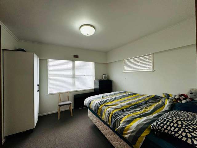 Tutere Road Papatoetoe_3