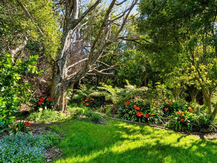 139 Lochhead Road Te Puna_39