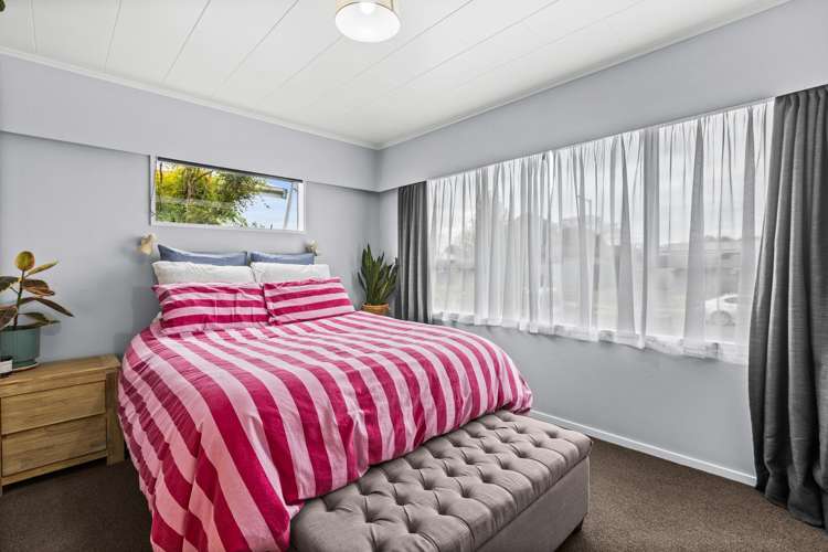 23 Plunket Street Tamatea_14