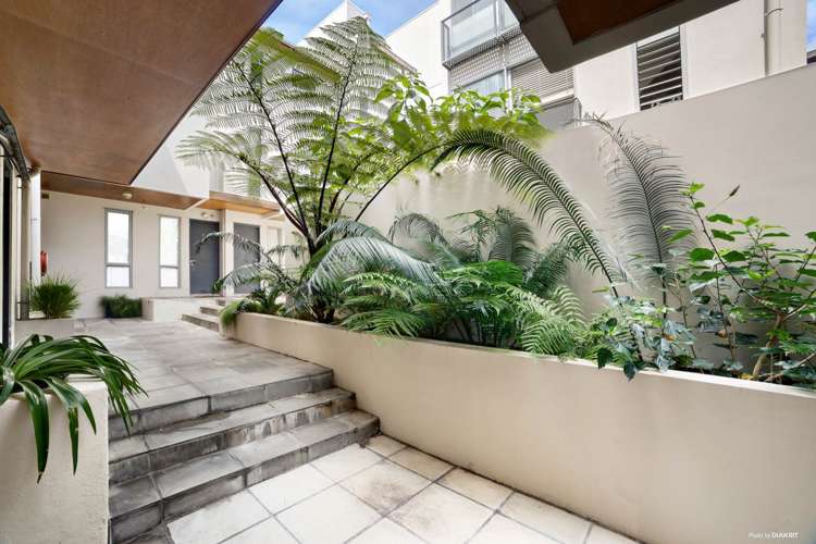 13/5 Fox Street Parnell_8