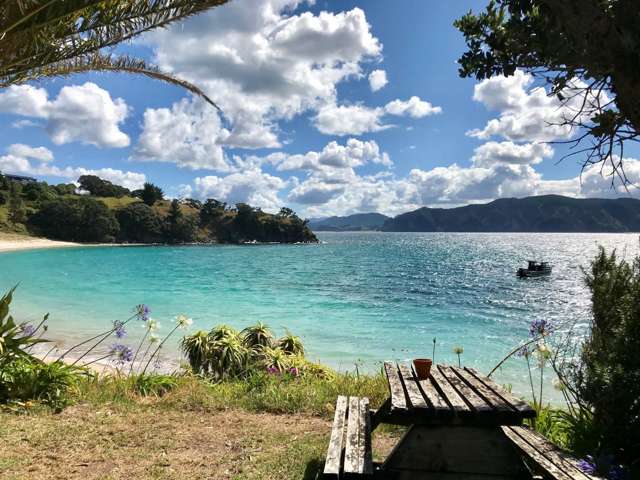 190 Pacific Ocean, Slipper Island (Whakahua) Thames_1