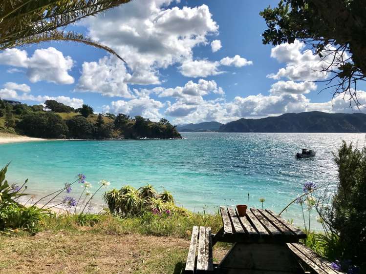 190 Pacific Ocean, Slipper Island (Whakahua) Thames_1