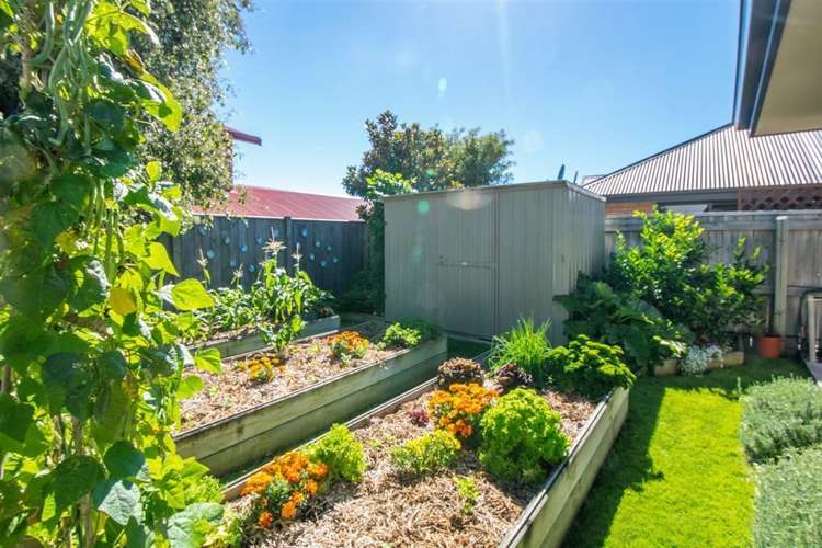 46 Ashwood Drive Witherlea_26