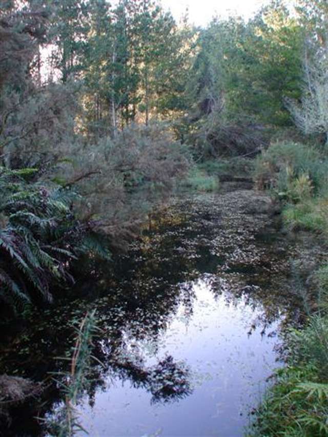 Stafford Road Hokitika_2