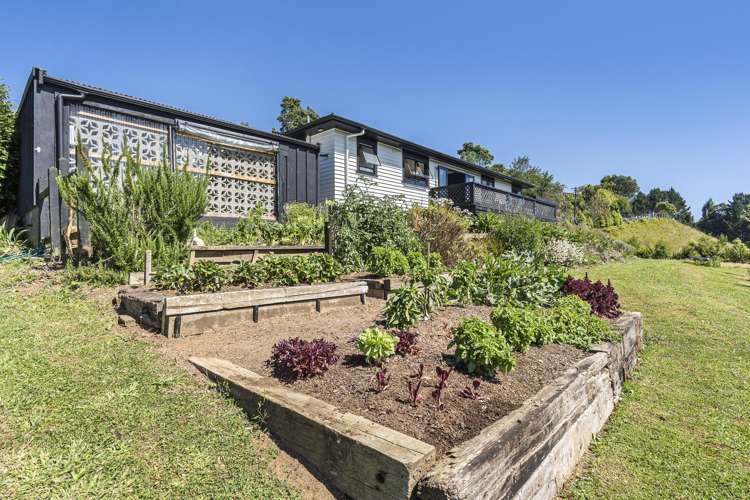 70 Saxton Road Upper Vogeltown_16