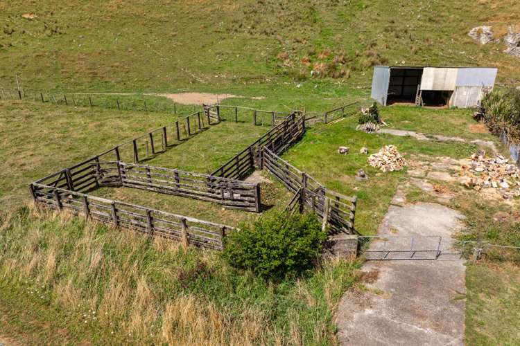 148 Tunakino Valley Road Rai Valley_28