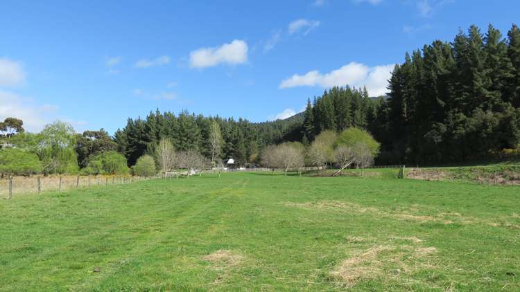 3957 Northbank Road Wairau Valley_18