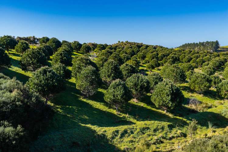 173 Prescott Road Ruakaka_6