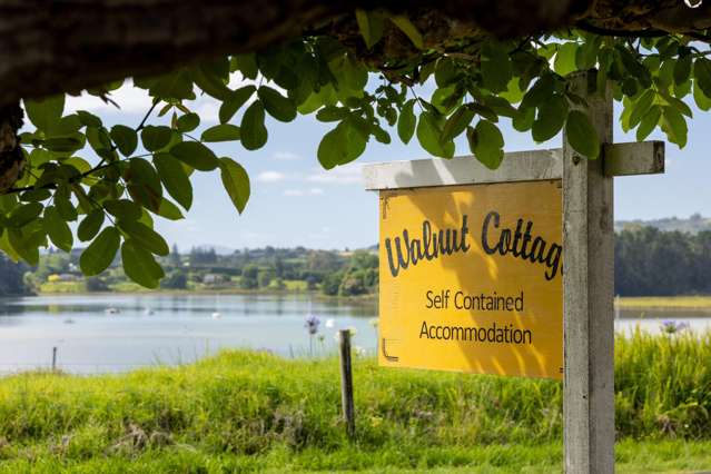 309 Plummers Point Road Whakamarama_3