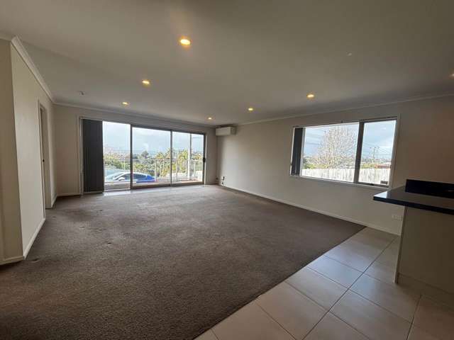 59A Brightside Road Stanmore Bay_4