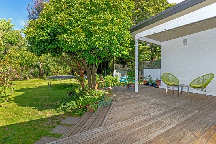 113 Harris Street Inner Kaiti_12