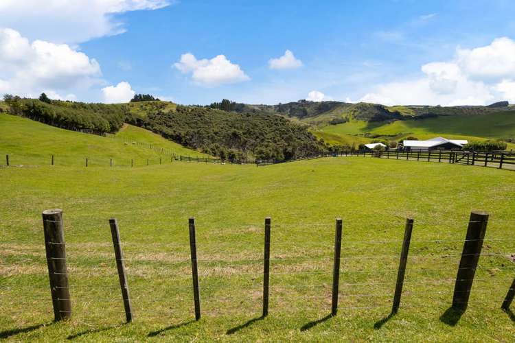 138a Webber Road South Head_18