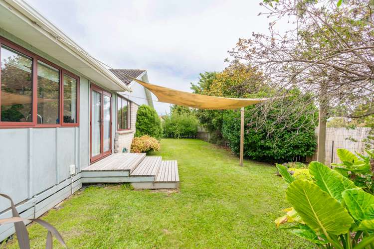 26 Ryan Avenue Chartwell_5