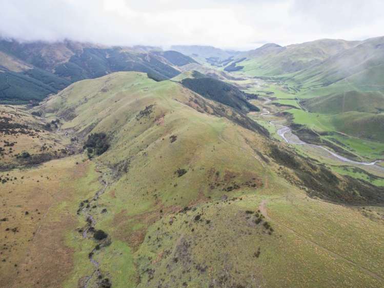 2081 Virginia Road Virginia_8