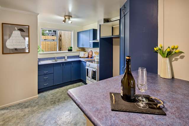 1 Maurice Terrace Te Aro_3