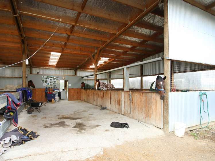 1414 Napier Road Ashhurst_7