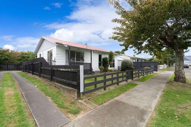 9 Guy Avenue, Levin