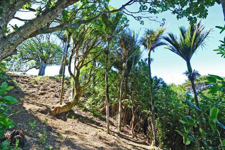 27 Boulder Bay Drive Tuateawa_14