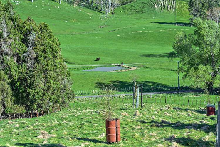 922 Okaihau Road Maraetotara_15