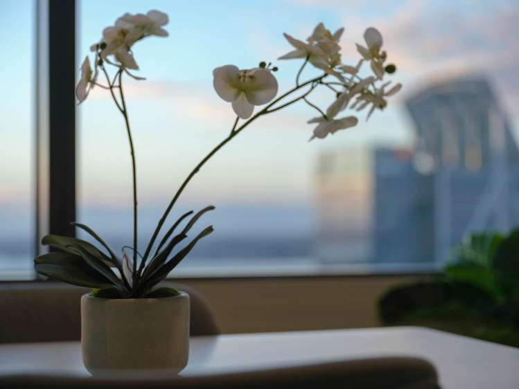 4506/10 Commerce Street City Centre_21