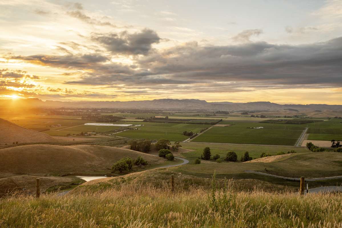 2594 State Highway 50, Roys Hill_3