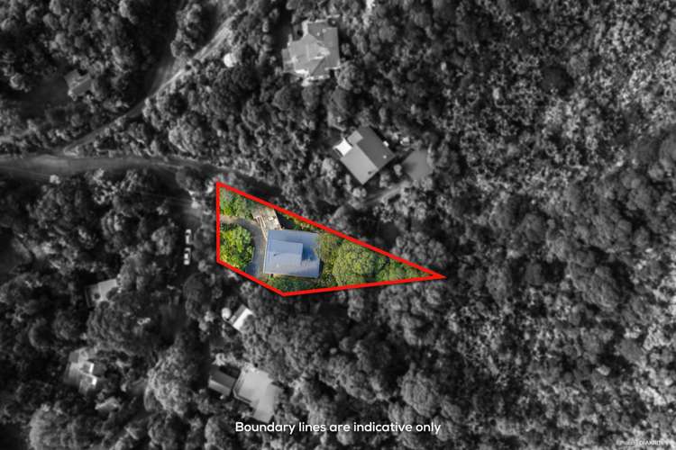 74 Rayner Road Piha_19