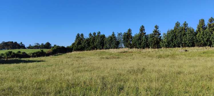 Lot 1 Kaihihi Road_3