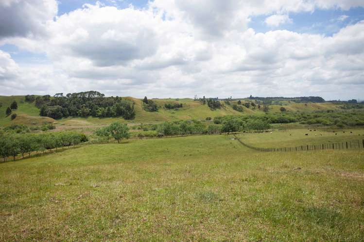 161 Otuiti Road Pukekawa_15