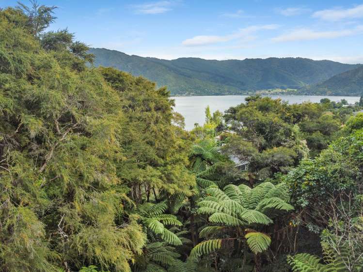 1694a Queen Charlotte Drive Linkwater_14