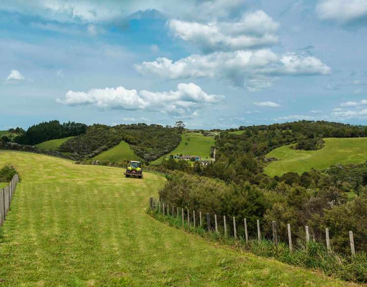 33 Karahiwi Lane Dairy Flat_10