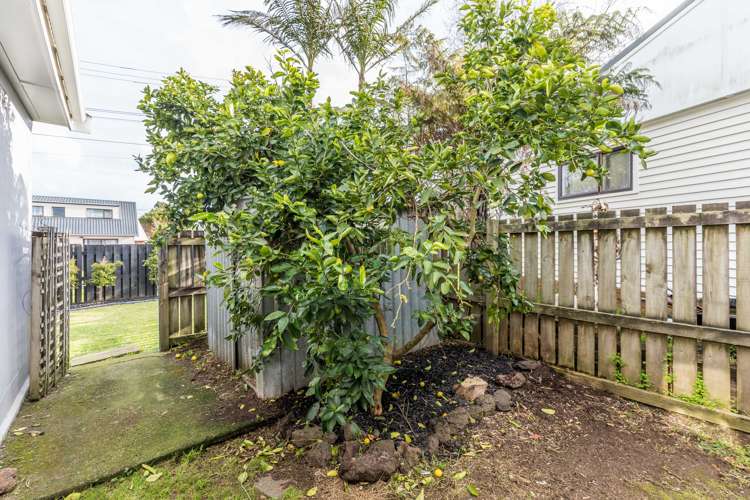 15 Wedgwood Avenue Mangere East_16