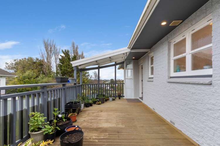 124 Mount View Road Bastia Hill_14