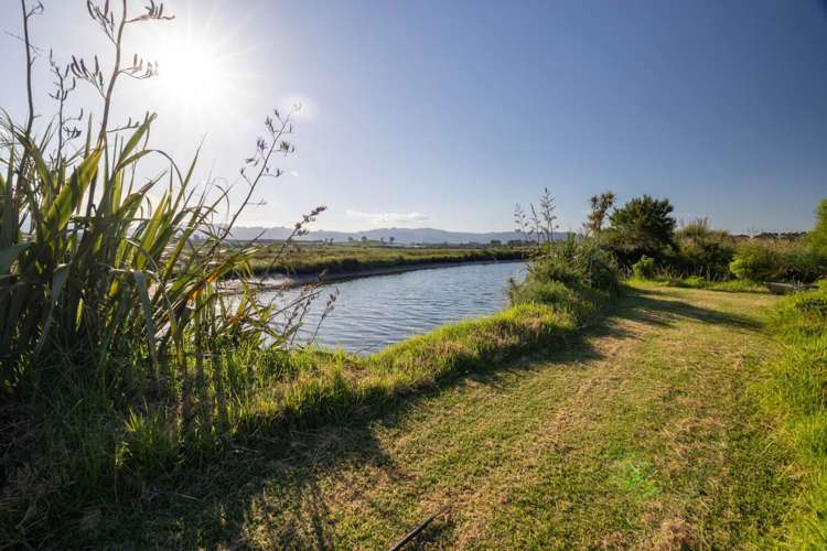 24A Banks Drive Aongatete_39