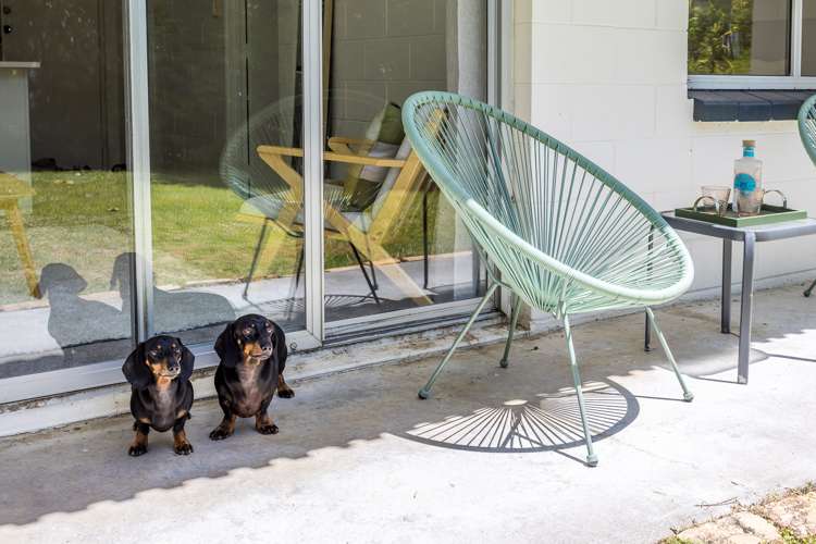 4/11 Balfour Road Parnell_10