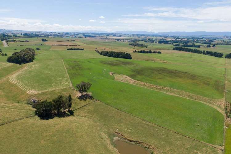 108 McKays Line Cheltenham_22