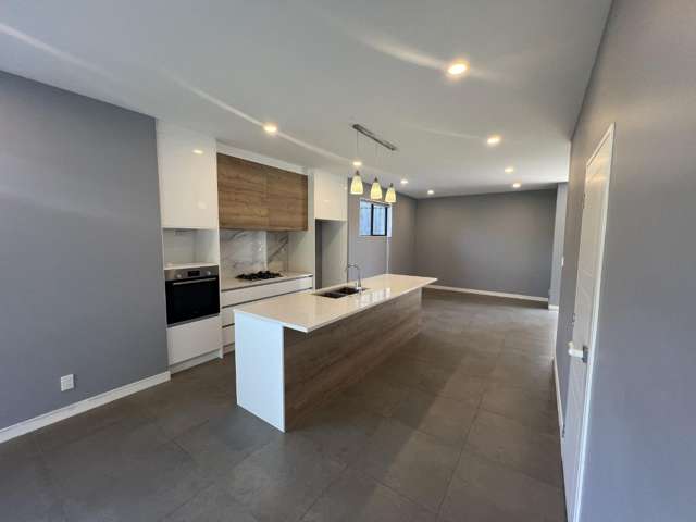 41 Waka Street Albany Heights_3