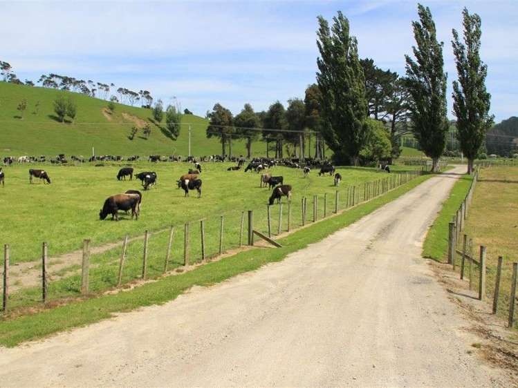 63 Waikupa Road Okoia_11