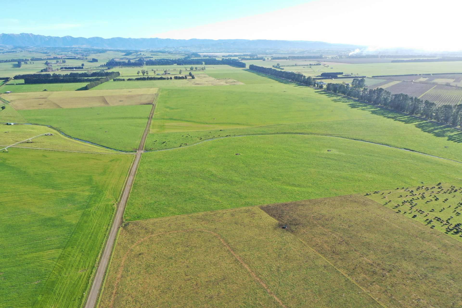 Corner Plantation Road and Wakarara Road Ongaonga_0