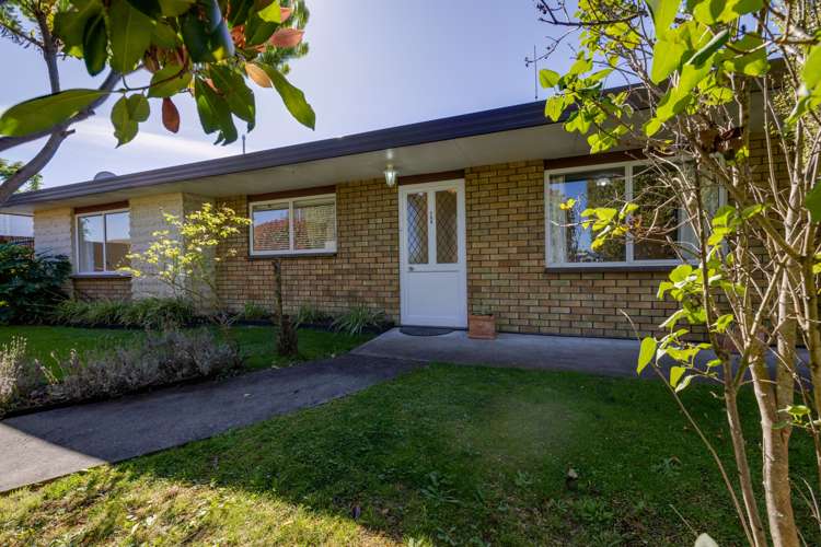208 Avondale Road Greenmeadows_9