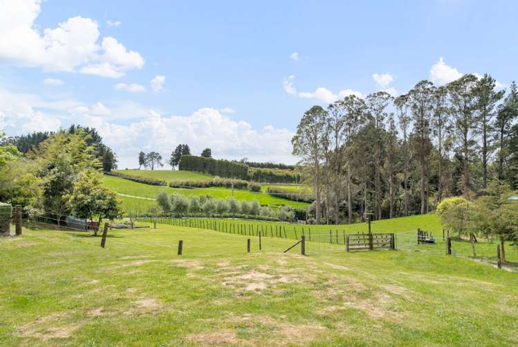 664 Te Puke Quarry Road Kaimai_23