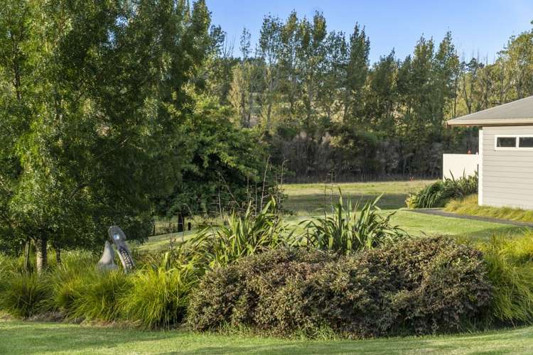 86 Goodland Drive Dairy Flat_22