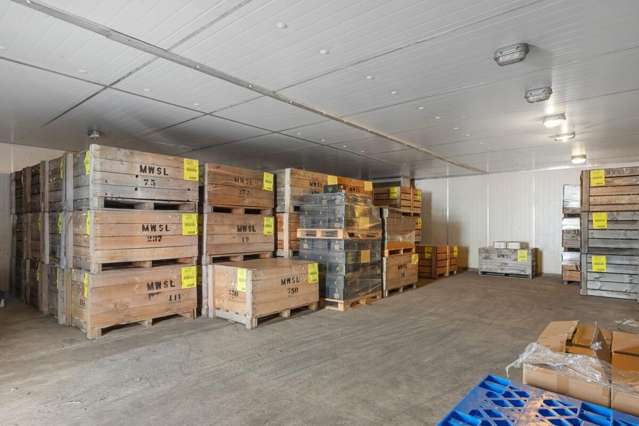 17 Broadway Street Martinborough_4