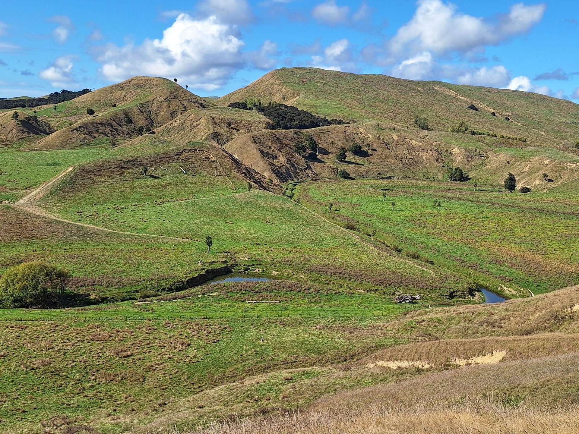 Mangaone Road Pongaroa_0